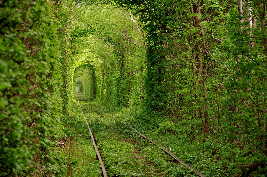 Armastuse tunnel Ukraina