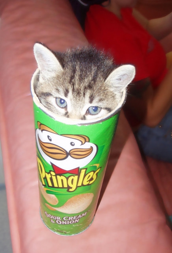 Kes mu Pringlesid ära varastas