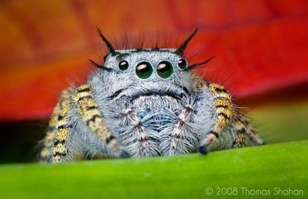 Kes võiks hirmunud olla