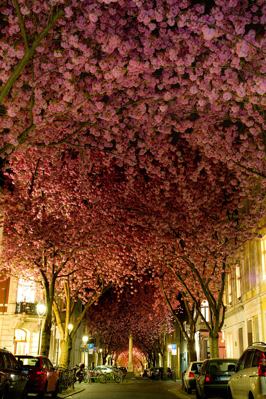 Street in Bonn, Germany