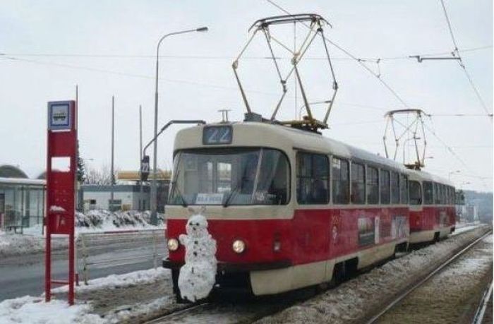 46