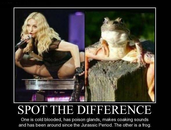 Konnajalad on seksikad