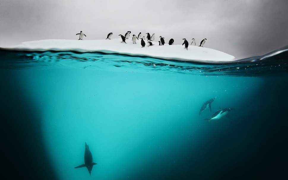 Danko saar, Antarktika